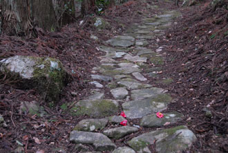 kaidou5_0228.jpg