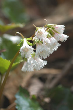 satuei_0028.jpg