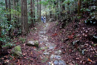 ttuwano7_0101.jpg