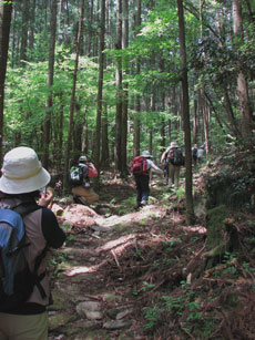 tuwano4-032.jpg
