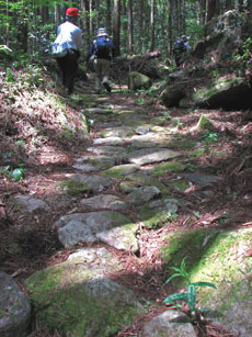 tuwano6-034.jpg